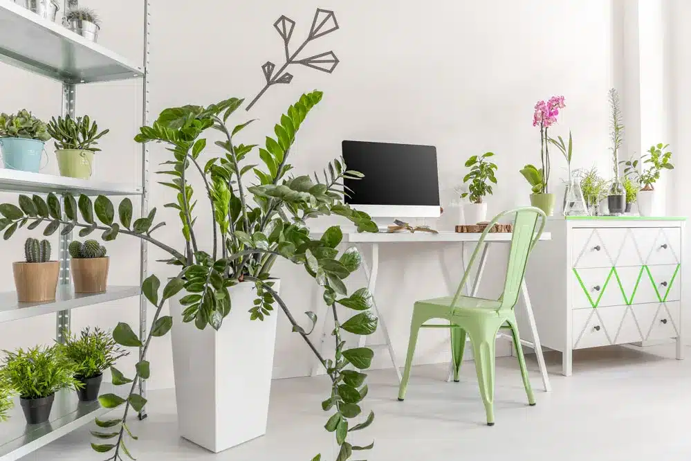 27 Tips for Creating a Comfortable and Productive Home Office Work Environment 2