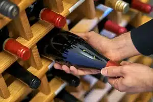 Read more about the article Tips for the Best Wine and Champagne Storage