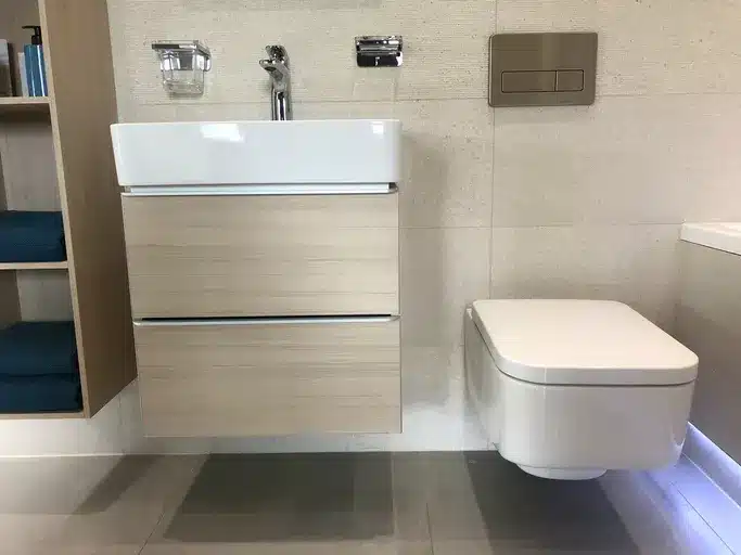 Modernized toilet and sink